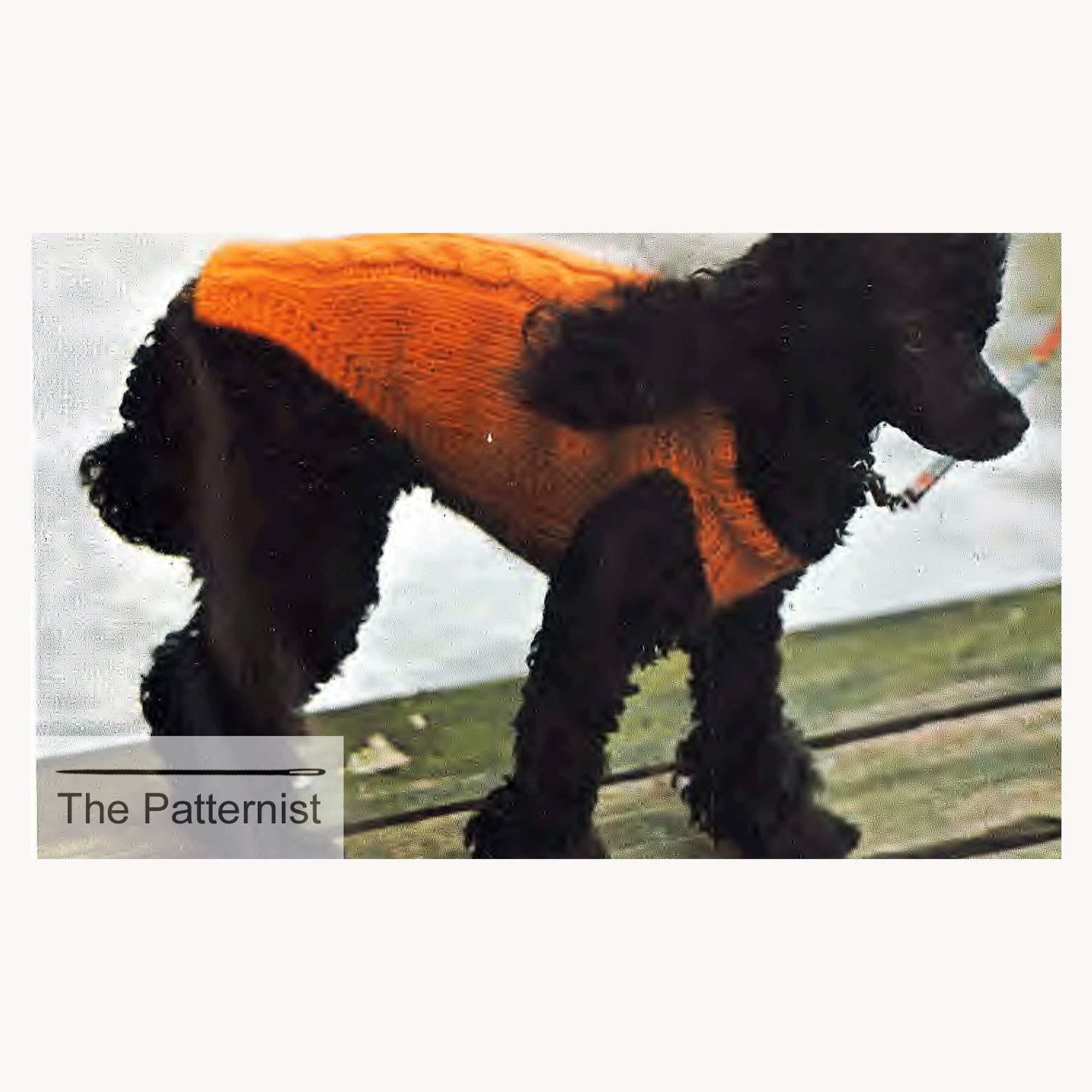 Vintage Knitting Pattern for Dog Coat With Cable Design Puppy Etsy