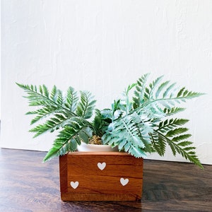 May include: A wooden planter with white heart accents, filled with a green fern plant.
