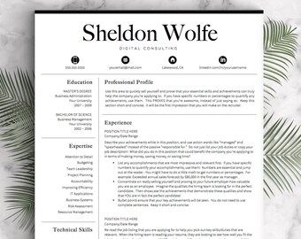 professional resume template for word pages professional