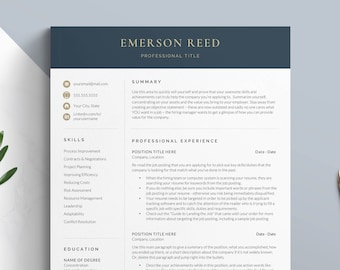 Finance Director Resume Template, CV Template, Financial Resume Template, Finance Manager Resume, MBA Finance Resume Format for Word & Pages