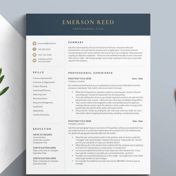 Finance Director Resume Template, CV Template, Financial Resume Template, Finance Manager Resume, MBA Finance Resume Format for Word & Pages