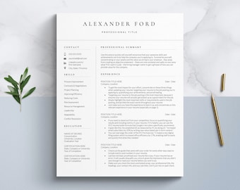 Google Docs Resume Template 2024, Business Manager Resume Template, Professional Resume Templates, Corporate Resume Format for Word & Pages