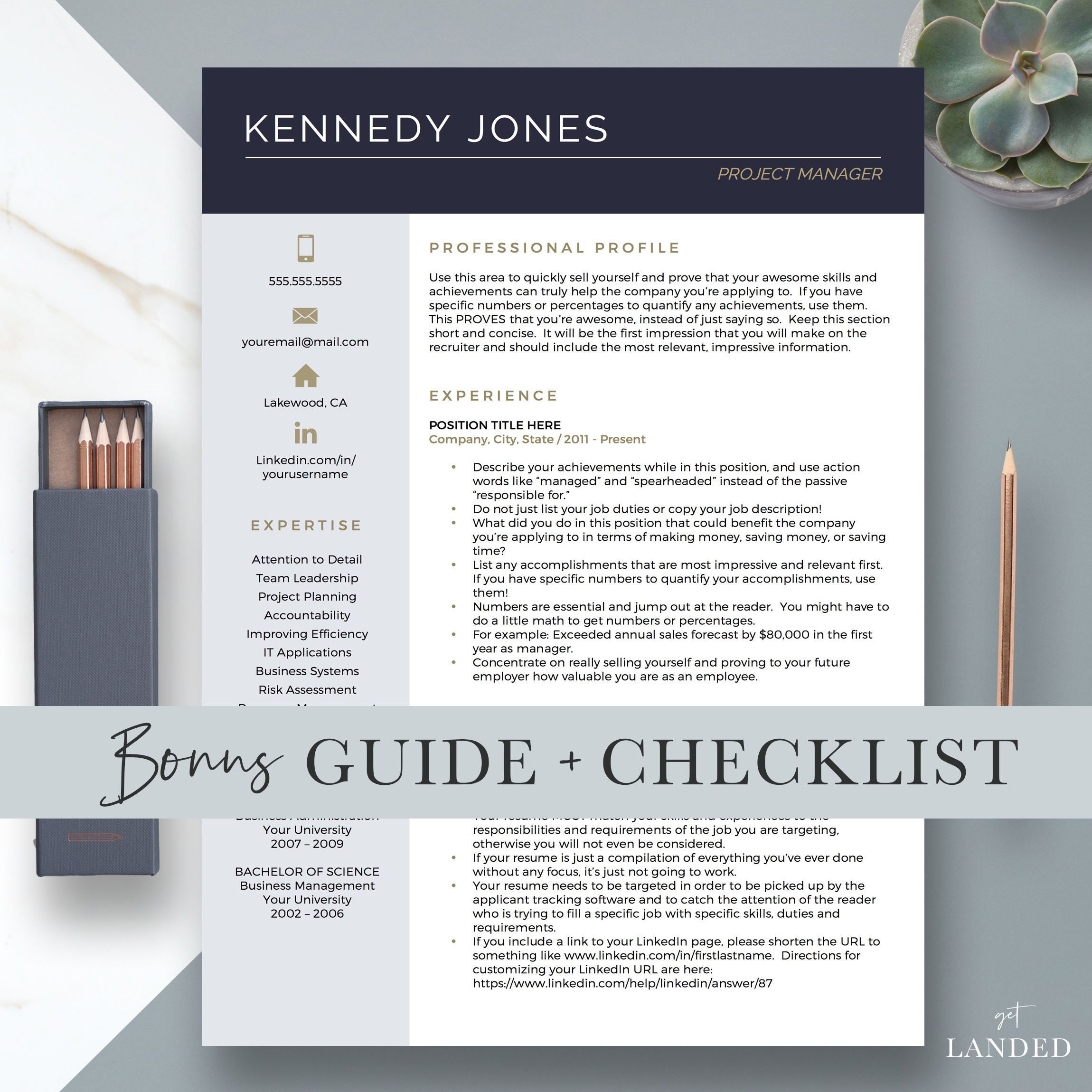 professional cv template for