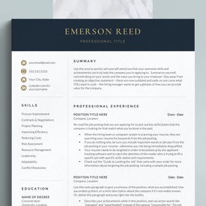 Finance Director Resume Template, CV Template, Financial Resume Template, Finance Manager Resume, MBA Finance Resume Format for Word & Pages