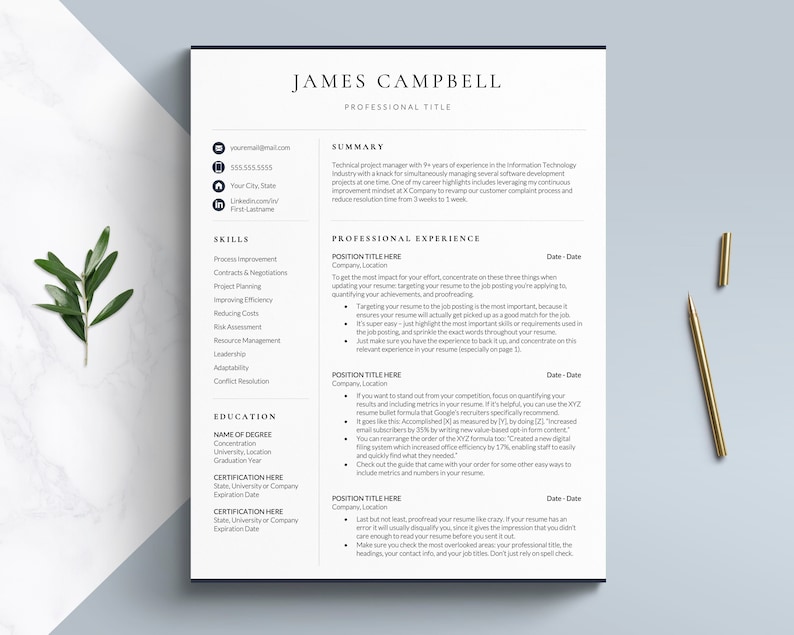 executive resume template for word google docs pages, professional resume template, professional cv template for word, google docs resume template