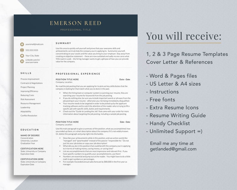 Modern Executive Resume Template 2021 CEO Resume Template ...