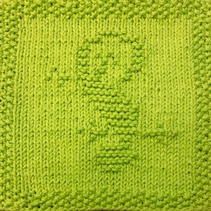 Gecko Knit Dishcloth Pattern Only *PDF Digital Download*
