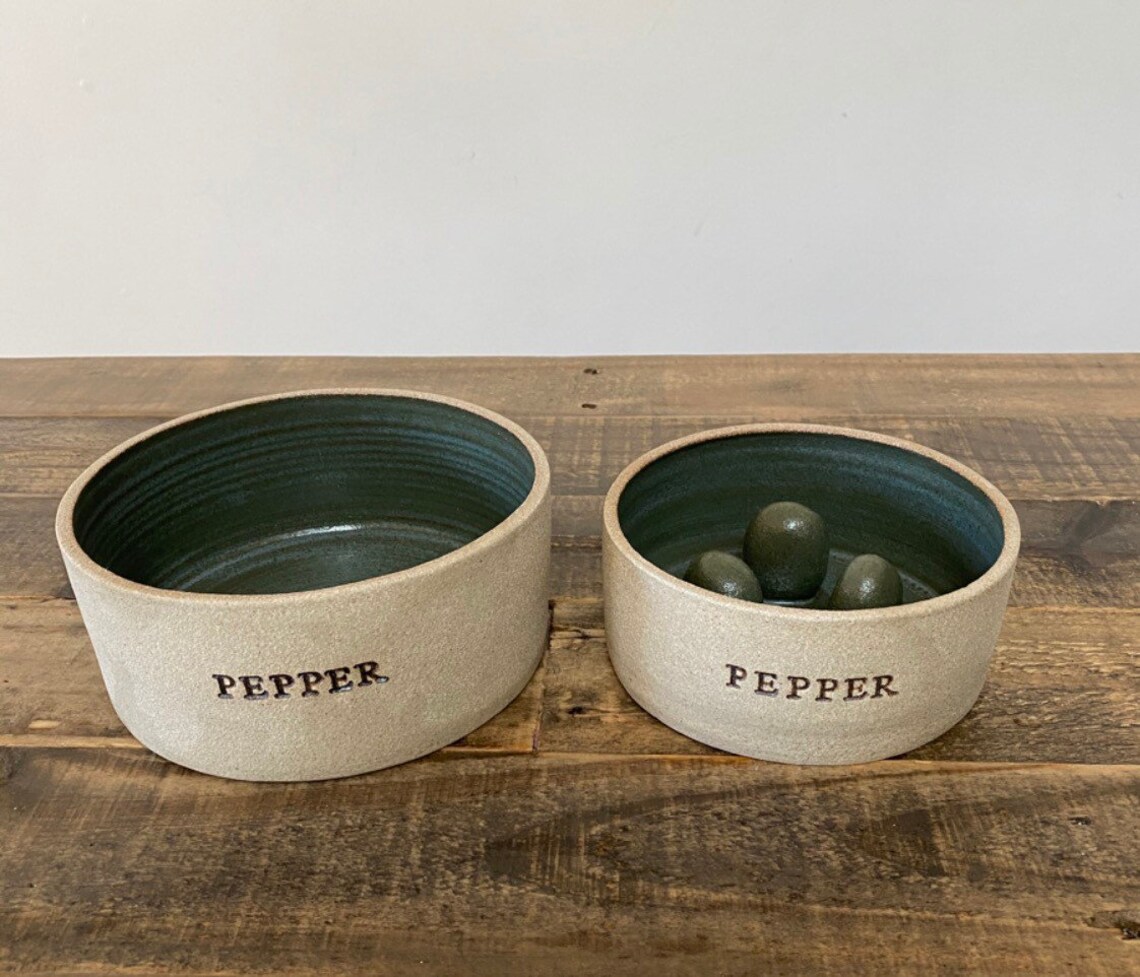 glass slow feeder dog bowl