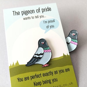 A pin and a card featuring a cartoon pigeon design. The pigeon has a grey head, light blue body, and pink and green accents. The card reads "The pigeon of pride wants to tell you... I'm proud of you."