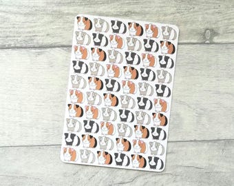Guinea Pig Postcard - Mini Pigs Design For Posting Or Framing