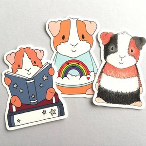 Set of three guinea pig stickers. Piggy in a rainbow jumper, reading a book, and tri colour