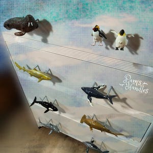 Pomelli Marine Life da 2,5" con doppio foro centrale, set da 8