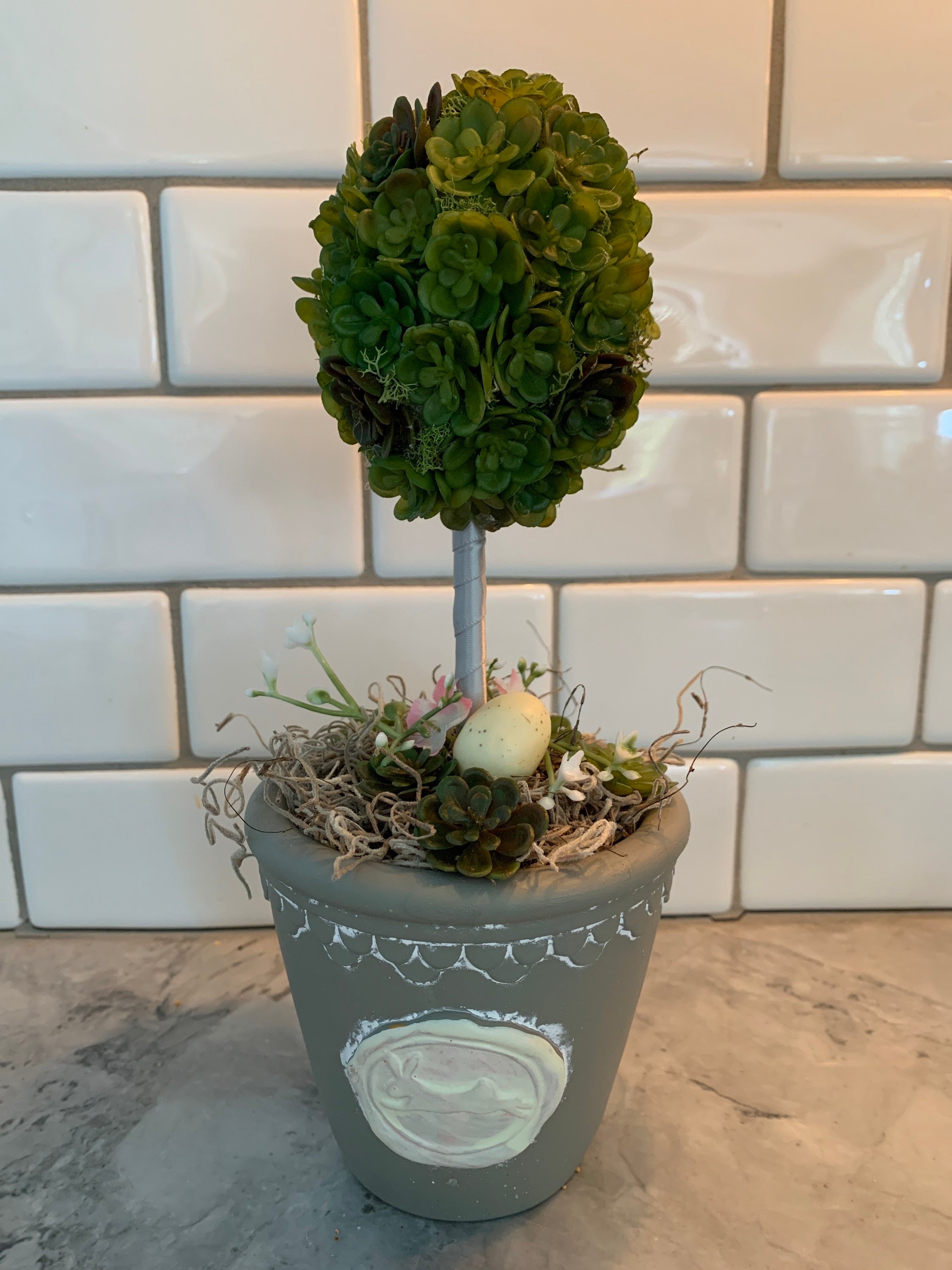 Succulent egg shaped topiary