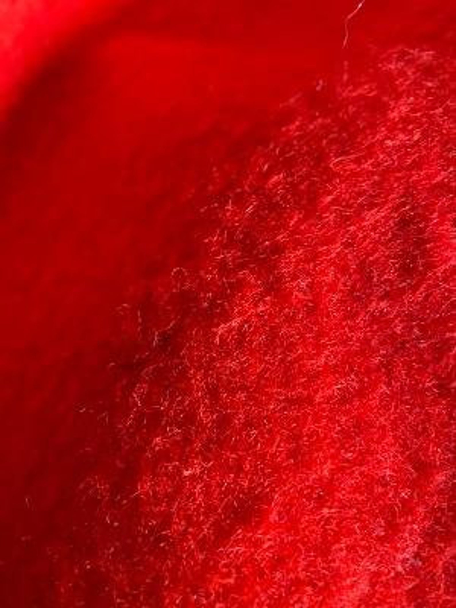 Iconic Hudson Bay Blanket Red 88 X 70 Good Condition Point Etsy