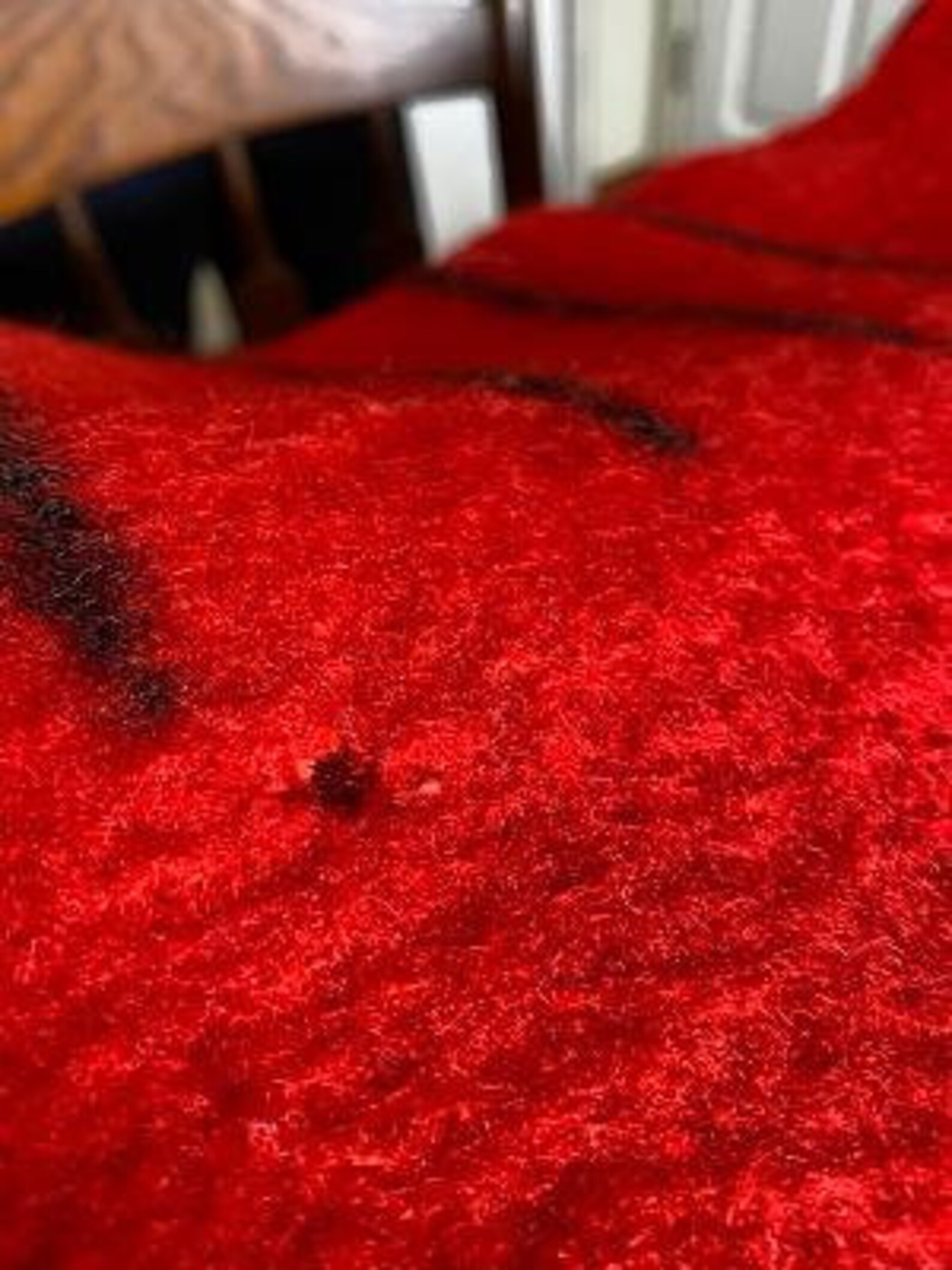 Iconic Hudson Bay Blanket Red 88 X 70 Good Condition Point Etsy