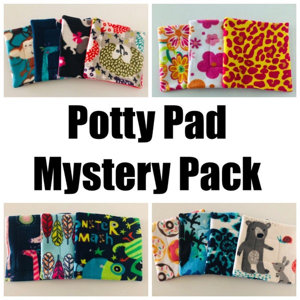 15x15 in. (1x1 C&C) Mystery Pack of Lap Pads/Potty Pads for Guinea Pigs, Rabbits, Hedgehogs, Ferrets, Rats, and other Small Animals