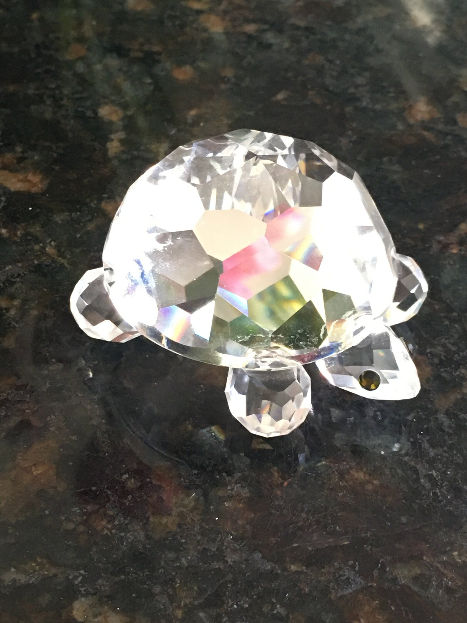 swarovski shelly the turtle