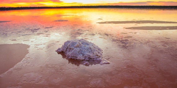 Murray River Pink Salt (from Australia) from the Salts of the Earth Collection by Merchant Spice Co.