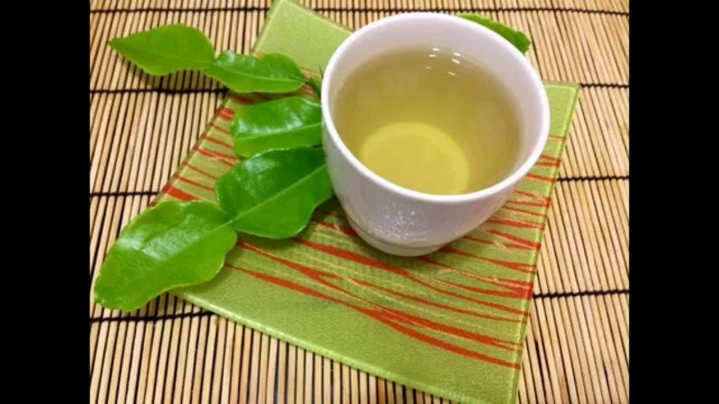 Puede incluir: Una taza de cer&aacute;mica blanca llena de t&eacute; amarillo claro se asienta sobre un posavasos cuadrado de vidrio verde con patrones lineales naranjas. Junto a la taza hay varias hojas de lima kaffir de color verde brillante, lustrosas y bilobuladas.