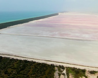 Yucatan Maya Crystal Sea Salt (Sal Parrillera) from the Salts of the Earth Collection by Merchant Spice Co.