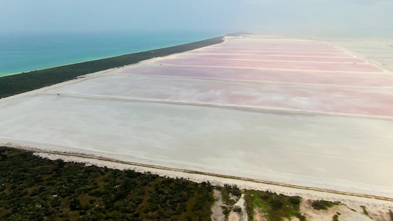Yucatan Maya Crystal Sea Salt (Sal Parrillera) from the Salts of the Earth Collection by Merchant Spice Co.