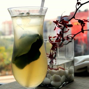 Té tailandés con hierba limón y hojas de lima kaffir de la colección SpecialTea de Merchant Spice Co. imagen 3