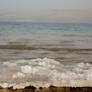 One Pound of Organic, Sun-Dried Red Sea Salt (from Israel) from the Salts of the Earth Collection by Merchant Spice Co.