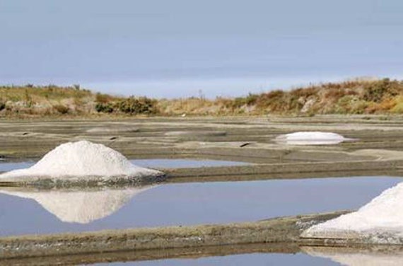 French Fleur de Sel Sea Salt (Guérande, France) from the Salts of the World Collection by Merchant Spice Co.