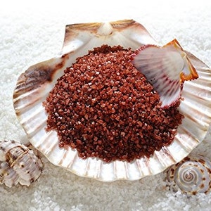 May include: Red sea salt in a seashell, with a smaller seashell on the white sand.