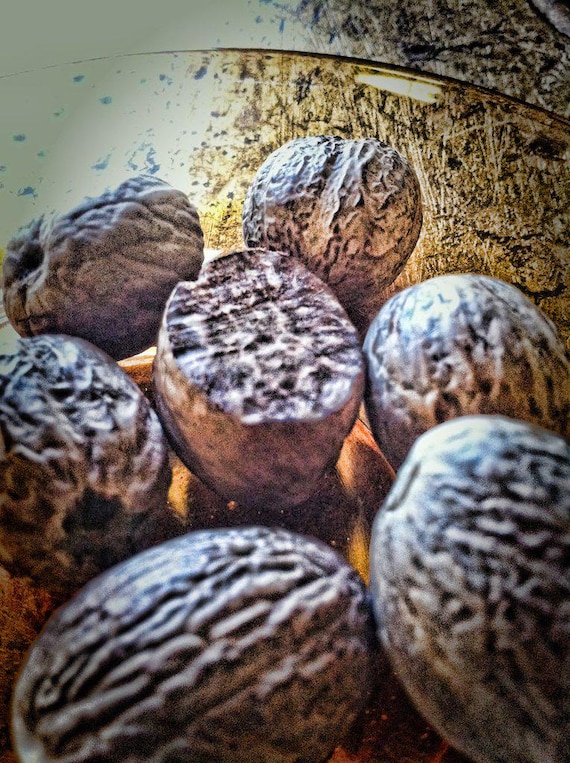 Nutmeg Sugar from the Seasoned Sugars Collection by Merchant Spice Co.