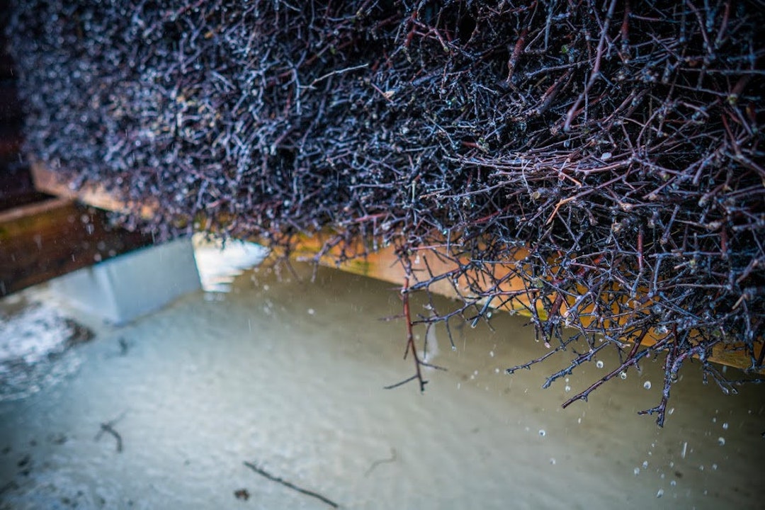 Blackthorn Scottish Sea Salt From the Artisan Salts of the World