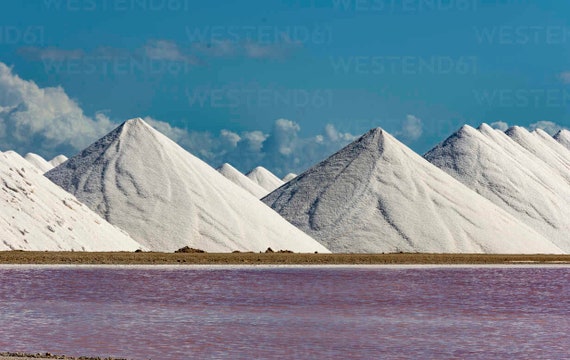 Caribbean Sea Salt (from the Antilles) from the Salts of the World Collection by Merchant Spice Co.