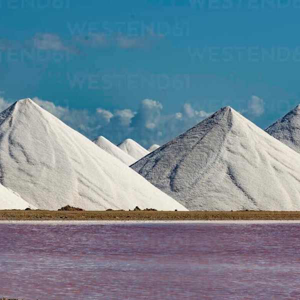 Caribbean Sea Salt (from the Antilles) from the Salts of the World Collection by Merchant Spice Co.