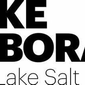 May include: Black and white logo for Lake Deborah Pure Lake Salt.