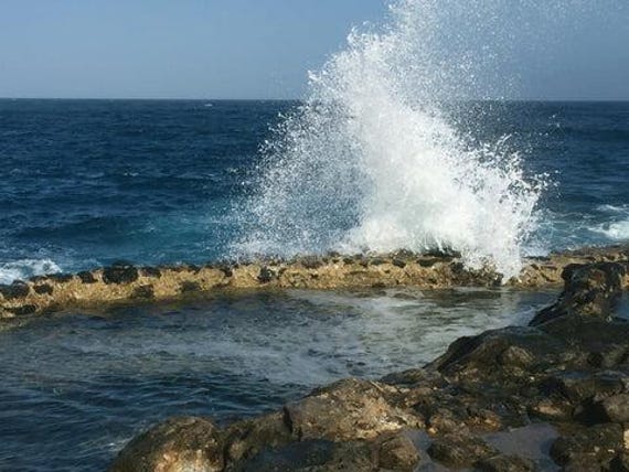 Sal de Fuerteventura (Sea Salt from Las Salinas del Carmen) from the Salts of the Earth Collection by Merchant Spice Co.