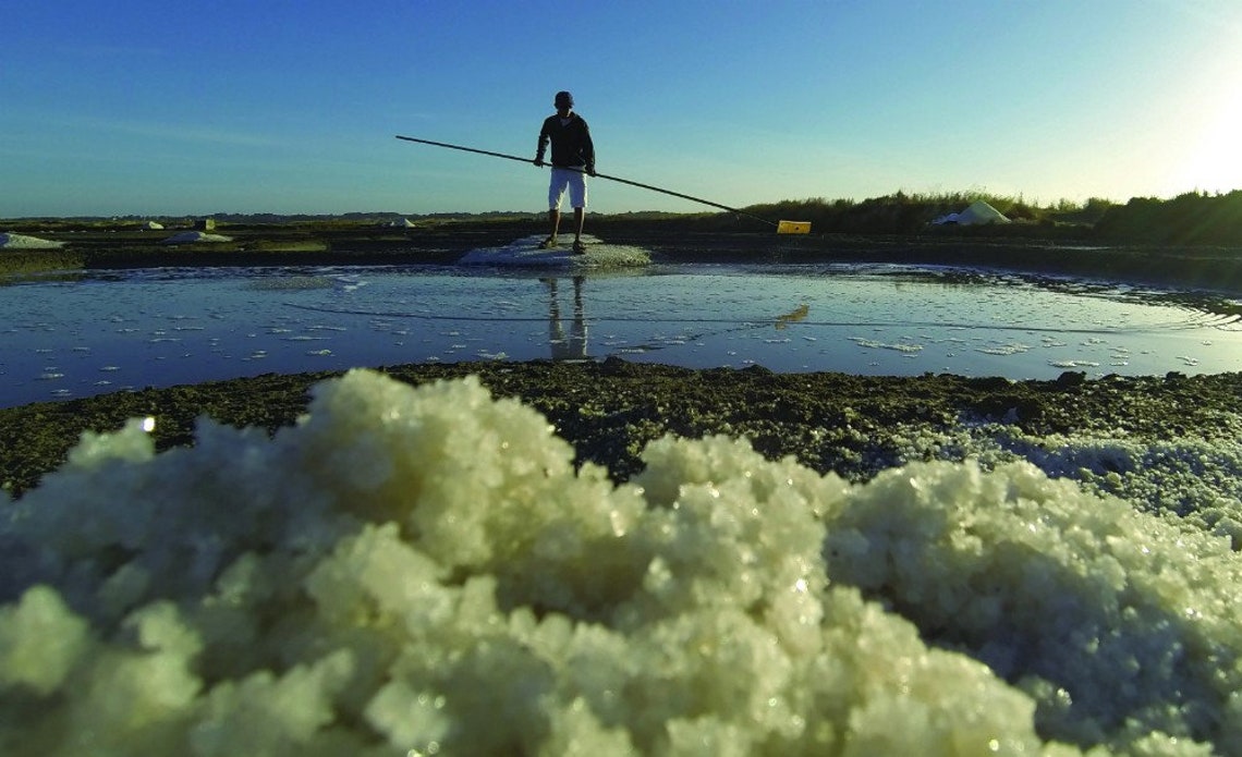 Saunier De Camargue Fleur De Sel Sea Salt 125 g 4.4 oz from Etsy
