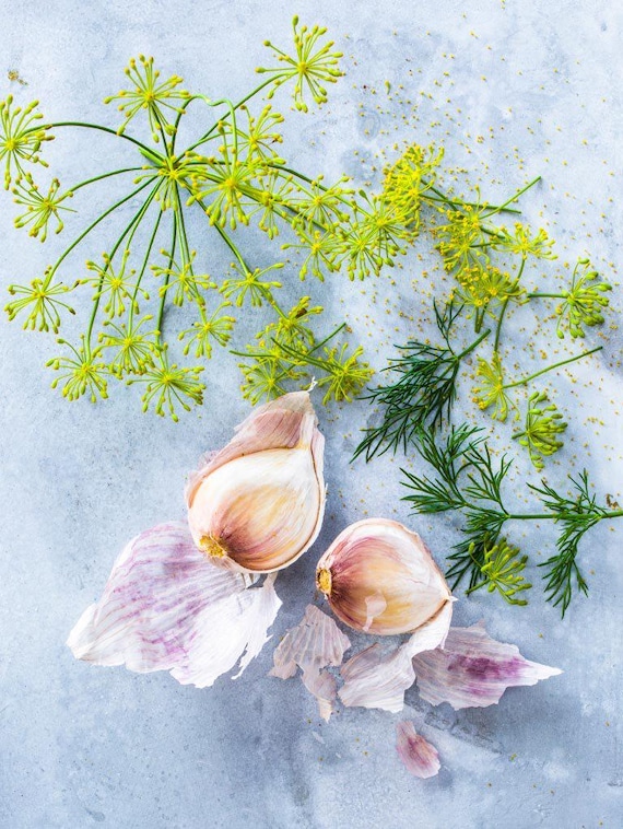 Dill Pollen & Garlic Sea Salt from the Seasoned Sea Salt Collection by Merchant Spice Co.