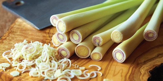 Lemongrass Sea Salt from the Seasoned Sea Salt Collection by Merchant Spice Co.