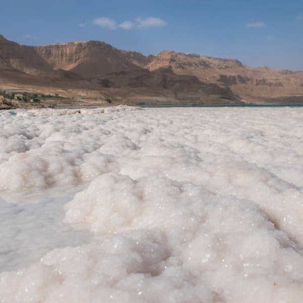 One Pound of Organic, Sun-Dried Dead Sea Salt (from Israel) from the Salts of the Earth Collection by Merchant Spice Co.