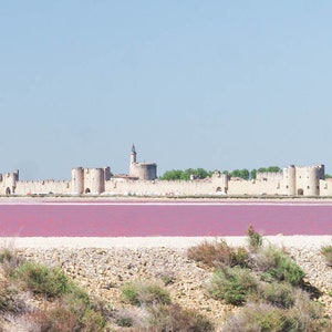 Puede incluir: Vista de una ciudad fortificada con un lago de sal rosa en primer plano. Las murallas de la ciudad están hechas de piedra y tienen varias torres. El lago es de un color rosa vibrante y está rodeado de una zona herbosa.
