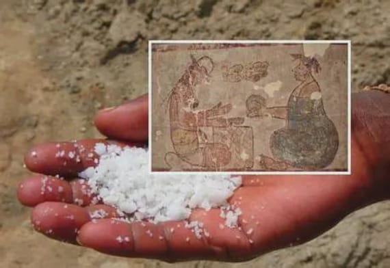 White Gold Mayan Sea Salt from the Artisan Salts of the World Collection by Merchant Spice Co.
