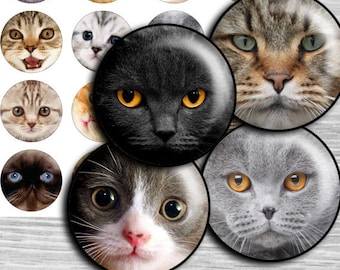 Kittens digital collage sheet circles Cat face 1 inch, 25mm circles,  1.5", 1.25", 30mm Round magnet stickers craft, cabochon images - td61