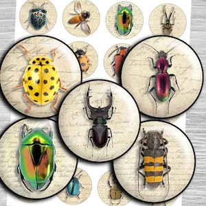 Insect digital collage sheet - td214 - 1.5&quot;, 1.25&quot;, 30mm, 1 inch - Printable Images for Pendants, Bottle Caps images rounds digital download