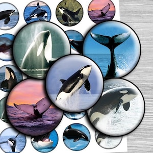 Whales Circles 1 inch, 25mm, 1.5", 1.25", 30mm Images Animals images Digital Collage Sheet, Bottle Caps images instant download -td244