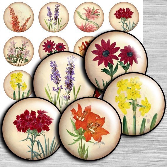 Kreise Blumen digital collage sheet - td55 - 1,5", 1,25", 30mm, 1 inch - Cabochon Bilder - Floral Botanisch - Glas Harz Anhänger Kamee