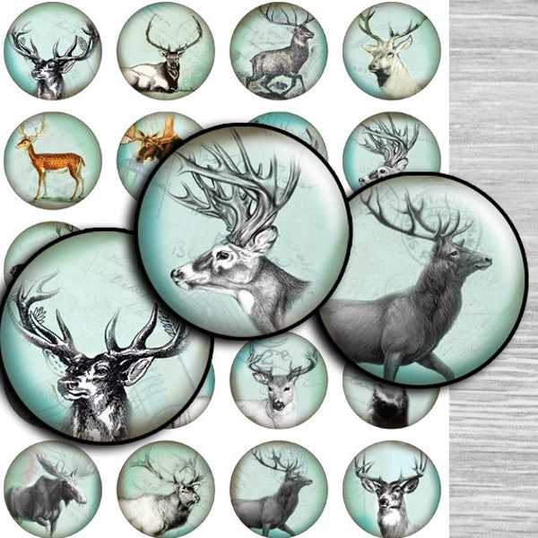 Deers Images Digital Collage Sheet 1 inch, 1.5", 1.25", 30mm circles images pendant printable round instant download cabochon- td124