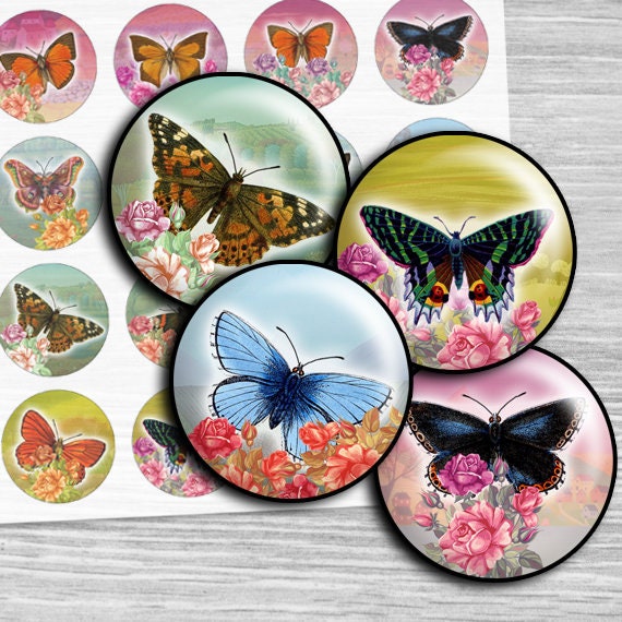 Pre Cut One Inch Bottle Cap Images BUTTERFLY BUTTERFLIES Free Ship