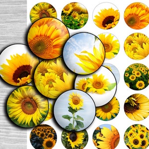 Yellow sunflower Flower Digital collage sheet - td257 - 1.5&quot;, 1.25&quot;, 30mm, 1 inch circles - Jewelry Making, bottle caps, Crafts, Cuff Link
