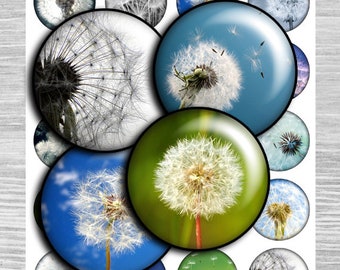 Dandelions Digital collage sheet circles cabochon images1.5", 1.25", 30mm, 1 inch, Images Pendants Printable Download Cameo - td153