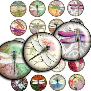 Dragonflies Digital collage sheet images Scrapbooking INSTANT Download 1.5&quot;, 1.25&quot;, 30mm, 1 inch  Printable Bottle Caps circles images td325